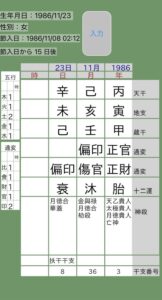 田中みな実四柱推命命式画像